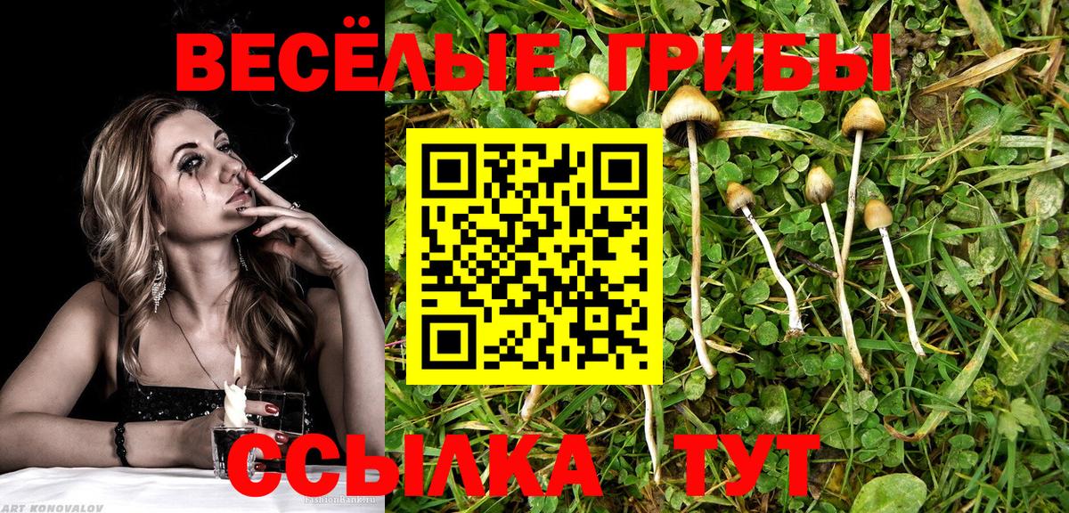 Галлюциногенные грибы Psilocybine cubensis Амурск
