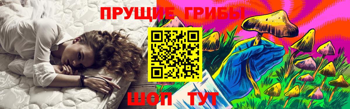 где купить наркоту  Псилоцибиновые грибы ЛСД  Амурск  Вход с VPN  Галлюциногенные грибы Psilocybine cubensis 